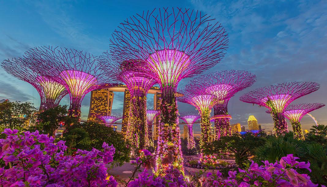 Kinh nghiệm du lịch Singapore tự túc, tiết kiệm tất tần tật từ A – Z mới nhất